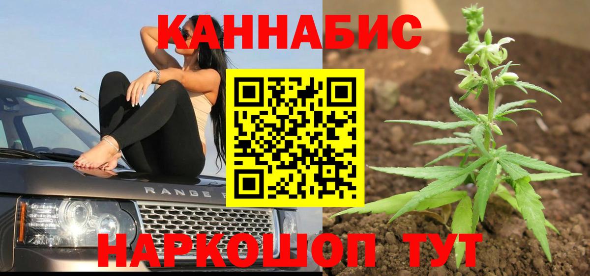 Прокопьевск  Конопля тримм  Вход с VPN  Бошки Шишки ГИДРОПОН 